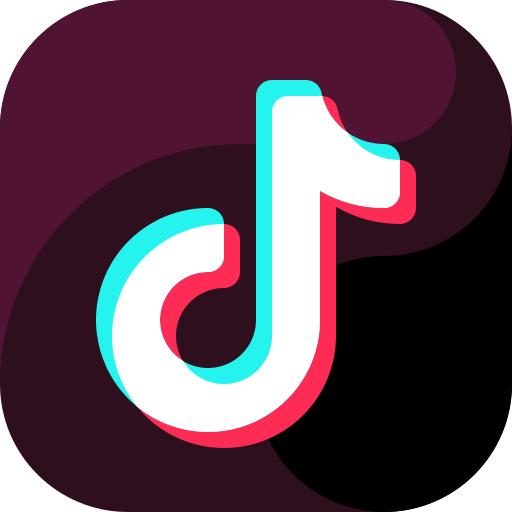 Buy Custom TikTok Accounts - Niche, Followers & Region